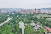 柳州西宁市举办六五环境日主题宣传活动